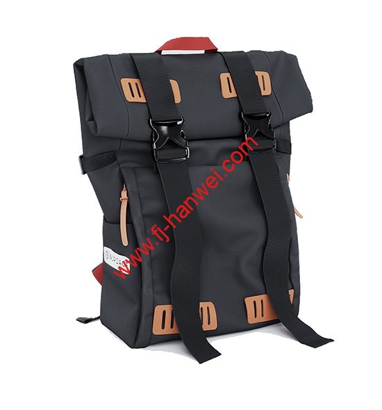 Large Laptop Backpack